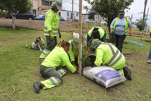 Imagen de carta y medio ambiente