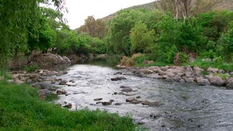 Imagen de carta y medio ambiente